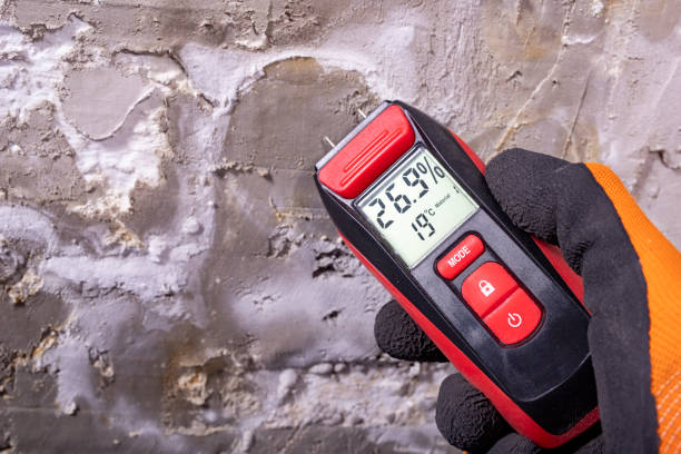 Asbestos and Lead Testing During Mold Inspection